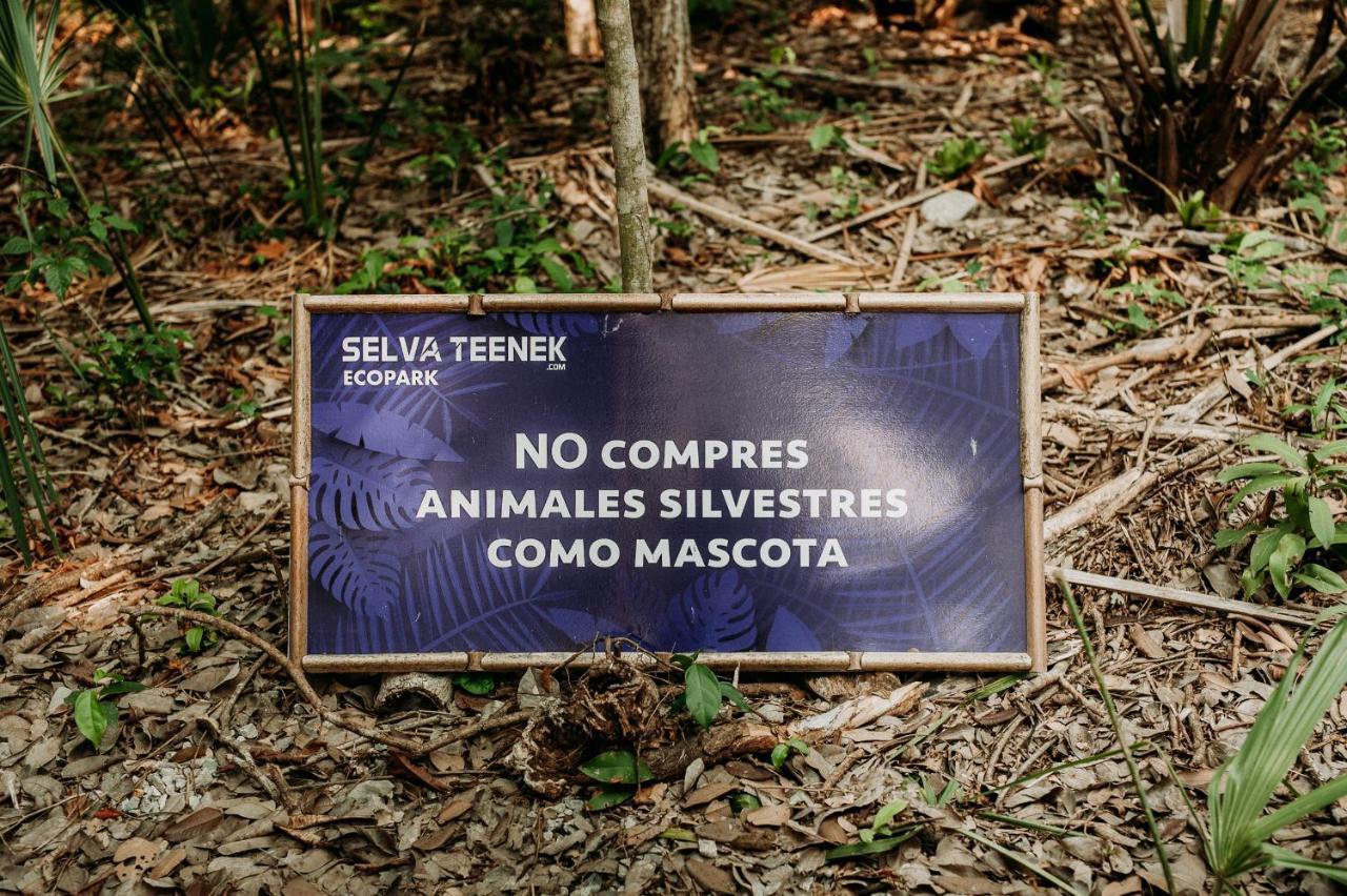 Selva Teenek Eco-Park Ciudad Valles Extérieur photo
